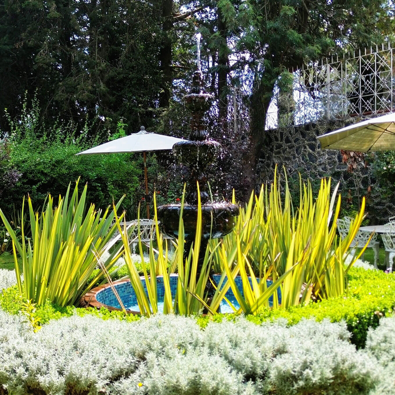 Comunidad Terapéutica Margaritas