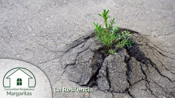 La Resilencia